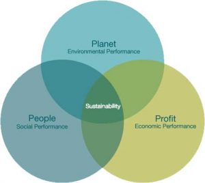 Triple bottom line accounting - people planet profit